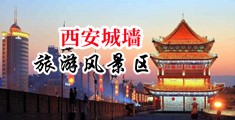 黄片操欧洲中国陕西-西安城墙旅游风景区